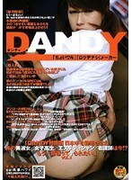 「DANDY特別版 日本中を勃起させたあの美淑女/女子校生/エステティシャン/看護師は今！？もう一度逢ってヤられたい！」