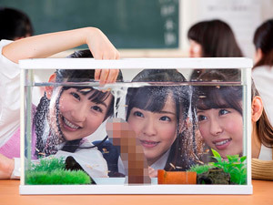 飼育している「ちんちん」を手コキフェラで可愛がって射精させまくる痴女JKたち！