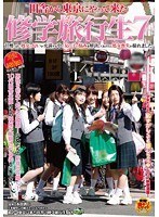 修学旅行生 7